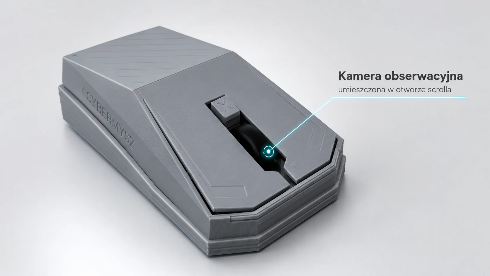 CyberMysz camera observation point